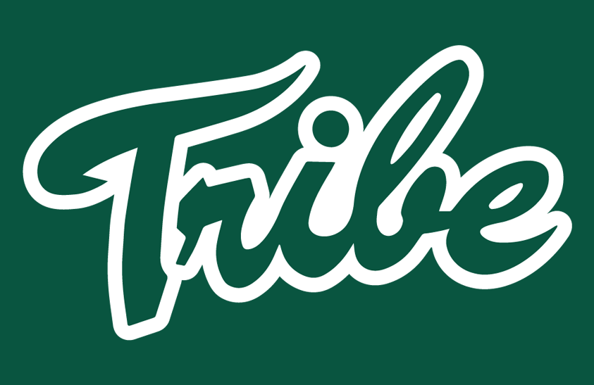 William and Mary Tribe 1986-1994 Helmet Logo diy DTF decal sticker